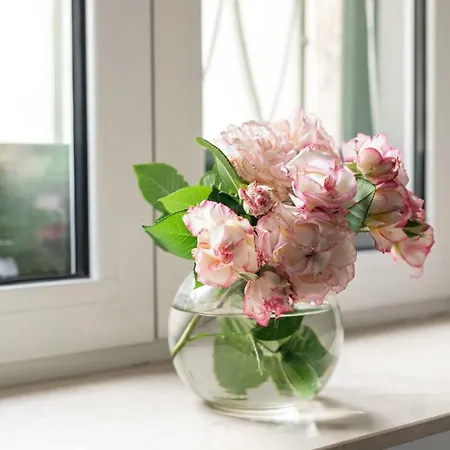 & بيت ضيافة 3*